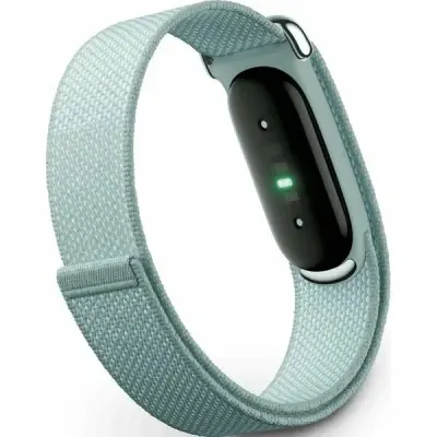 Купить Google Fitbit Air  в Бишкеке