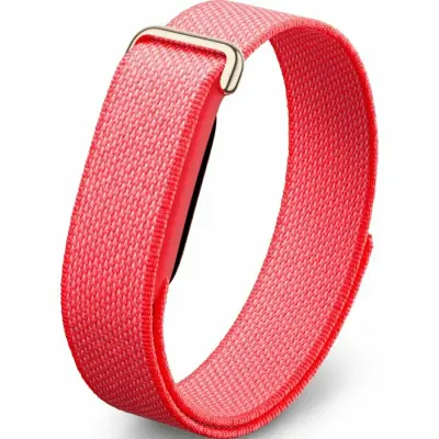 Купить Google Fitbit Air  в Бишкеке