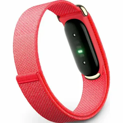 Купить Google Fitbit Air  в Бишкеке